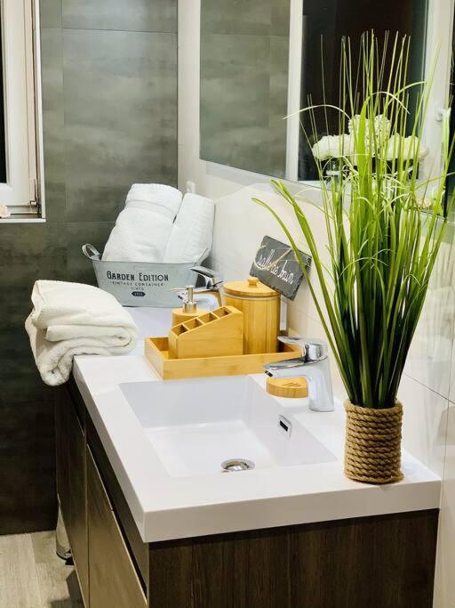 Appartement Gite Cosy Au Coeur De L'Alsace à Roggenhouse Extérieur photo